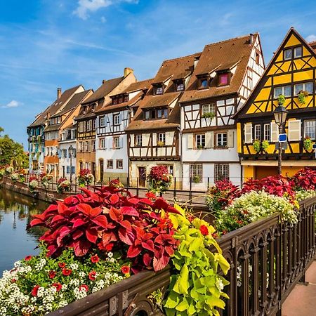 Appartement Orchidees Proche Centre Ville Colmar Exterior photo